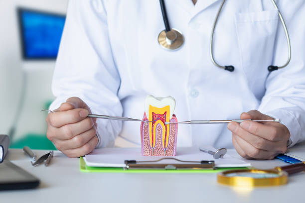Best Emergency Denture Repair in Reese, MI